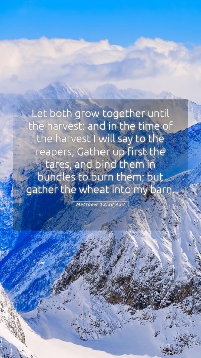 Picture 05 - Matthew 13:30 ASV Mobile Phone Wallpaper - Let both grow together until the harvest: and in - Mobile Bible Verse Wallpaper