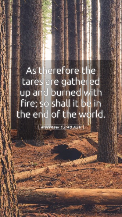 Picture 05 - Matthew 13:40 ASV Mobile Phone Wallpaper - As therefore the tares are gathered up and burned - Mobile Bible Verse Wallpaper