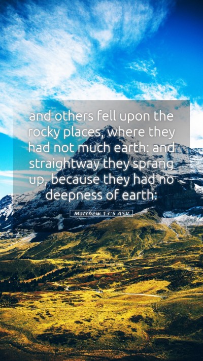 Picture 05 - Matthew 13:5 ASV Mobile Phone Wallpaper - and others fell upon the rocky places, where they - Mobile Bible Verse Wallpaper