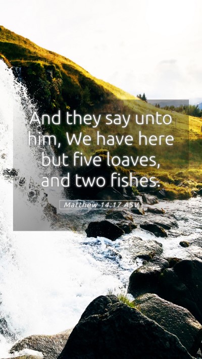 Picture 05 - Matthew 14:17 ASV Mobile Phone Wallpaper - And they say unto him, We have here but five - Mobile Bible Verse Wallpaper