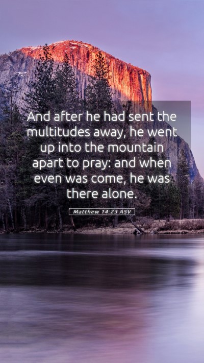 Picture 05 - Matthew 14:23 ASV Mobile Phone Wallpaper - And after he had sent the multitudes away, he - Mobile Bible Verse Wallpaper