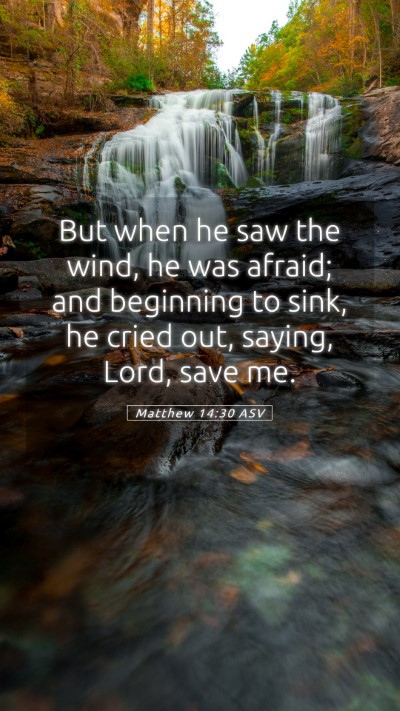 Picture 05 - Matthew 14:30 ASV Mobile Phone Wallpaper - But when he saw the wind, he was afraid; and - Mobile Bible Verse Wallpaper