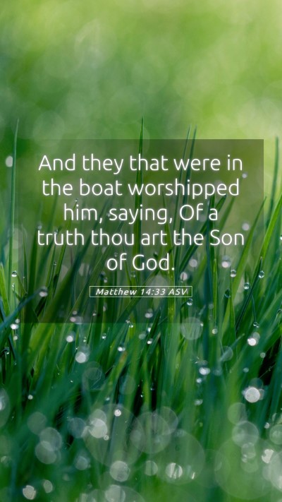 Picture 05 - Matthew 14:33 ASV Mobile Phone Wallpaper - And they that were in the boat worshipped him, - Mobile Bible Verse Wallpaper