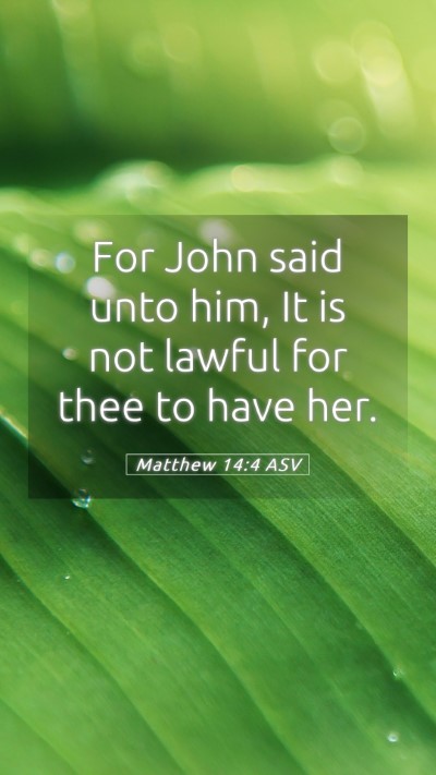 Picture 05 - Matthew 14:4 ASV Mobile Phone Wallpaper - For John said unto him, It is not lawful for thee - Mobile Bible Verse Wallpaper