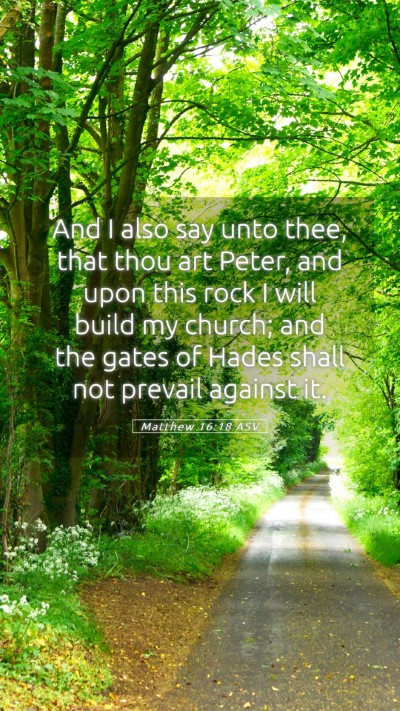 Picture 05 - Matthew 16:18 ASV Mobile Phone Wallpaper - And I also say unto thee, that thou art Peter, - Mobile Bible Verse Wallpaper