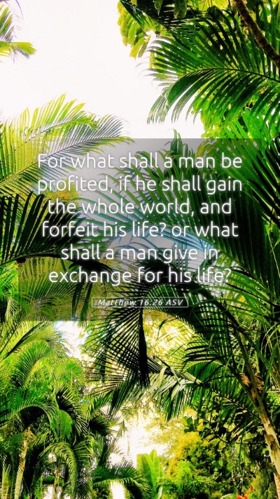 Picture 05 - Matthew 16:26 ASV Mobile Phone Wallpaper - For what shall a man be profited, if he shall - Mobile Bible Verse Wallpaper