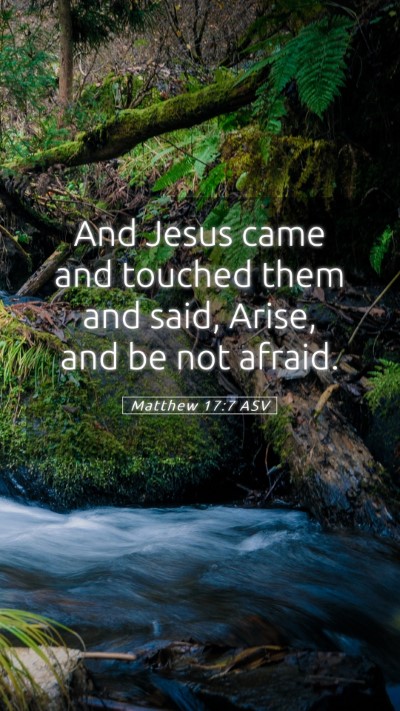 Picture 05 - Matthew 17:7 ASV Mobile Phone Wallpaper - And Jesus came and touched them and said, Arise, - Mobile Bible Verse Wallpaper