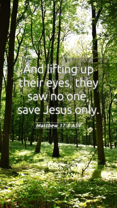 Picture 05 - Matthew 17:8 ASV Mobile Phone Wallpaper - And lifting up their eyes, they saw no one, save - Mobile Bible Verse Wallpaper