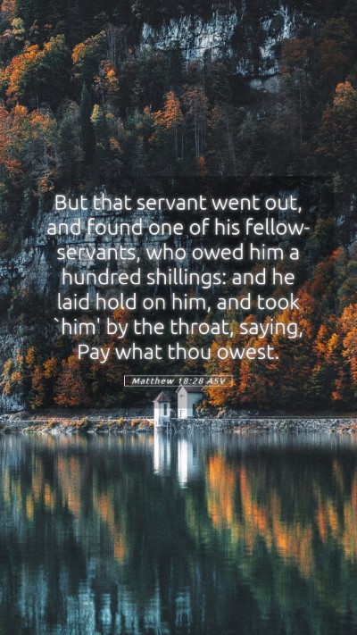 Picture 05 - Matthew 18:28 ASV Mobile Phone Wallpaper - But that servant went out, and found one of his - Mobile Bible Verse Wallpaper