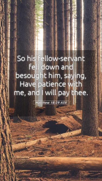 Picture 05 - Matthew 18:29 ASV Mobile Phone Wallpaper - So his fellow-servant fell down and besought him, - Mobile Bible Verse Wallpaper