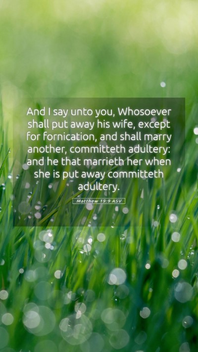 Picture 05 - Matthew 19:9 ASV Mobile Phone Wallpaper - And I say unto you, Whosoever shall put away his - Mobile Bible Verse Wallpaper