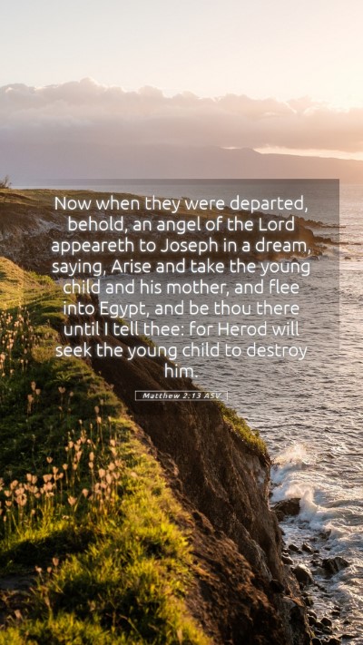 Picture 05 - Matthew 2:13 ASV Mobile Phone Wallpaper - Now when they were departed, behold, an angel of - Mobile Bible Verse Wallpaper