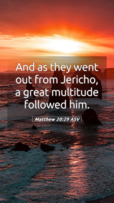 Picture 05 - Matthew 20:29 ASV Mobile Phone Wallpaper - And as they went out from Jericho, a great - Mobile Bible Verse Wallpaper