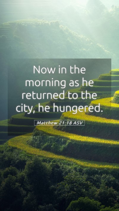 Picture 05 - Matthew 21:18 ASV Mobile Phone Wallpaper - Now in the morning as he returned to the city, he - Mobile Bible Verse Wallpaper