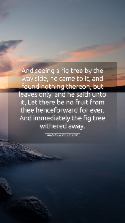 Picture 05 - Matthew 21:19 ASV Mobile Phone Wallpaper - And seeing a fig tree by the way side, he came to - Mobile Bible Verse Wallpaper