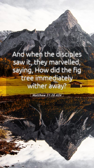 Picture 05 - Matthew 21:20 ASV Mobile Phone Wallpaper - And when the disciples saw it, they marvelled, - Mobile Bible Verse Wallpaper