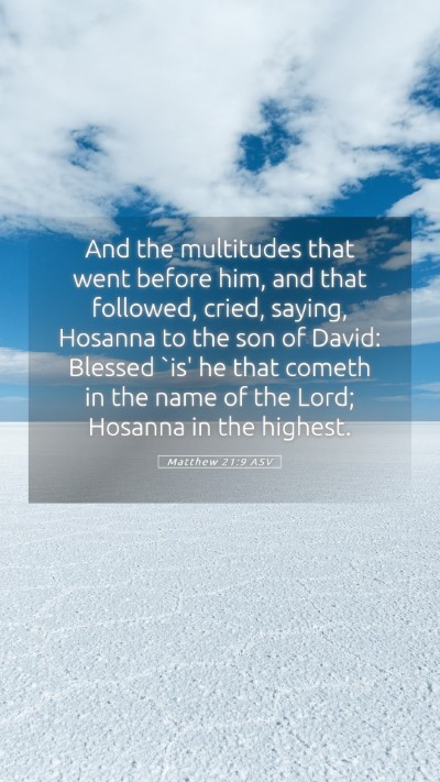 Picture 05 - Matthew 21:9 ASV Mobile Phone Wallpaper - And the multitudes that went before him, and that - Mobile Bible Verse Wallpaper