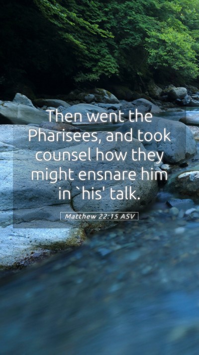 Picture 05 - Matthew 22:15 ASV Mobile Phone Wallpaper - Then went the Pharisees, and took counsel how - Mobile Bible Verse Wallpaper