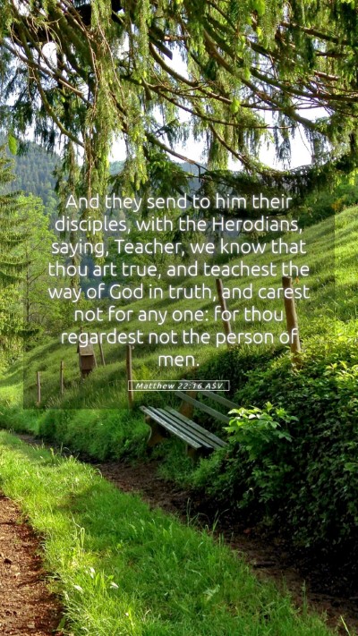 Picture 05 - Matthew 22:16 ASV Mobile Phone Wallpaper - And they send to him their disciples, with the - Mobile Bible Verse Wallpaper