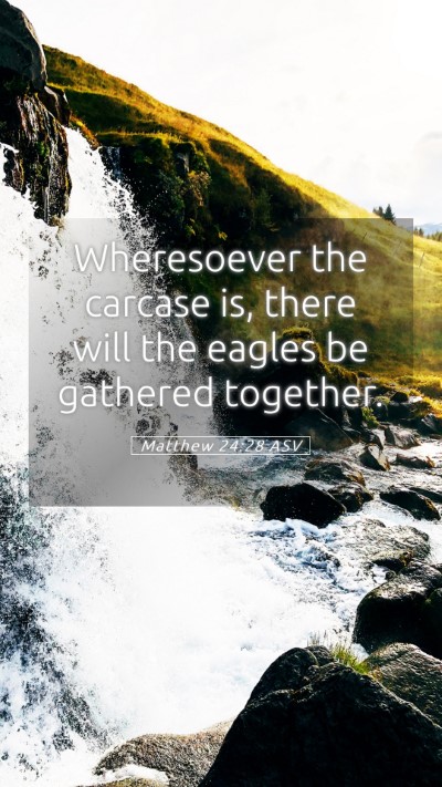 Picture 05 - Matthew 24:28 ASV Mobile Phone Wallpaper - Wheresoever the carcase is, there will the eagles - Mobile Bible Verse Wallpaper