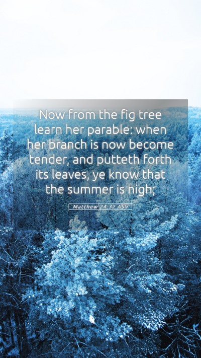 Picture 05 - Matthew 24:32 ASV Mobile Phone Wallpaper - Now from the fig tree learn her parable: when her - Mobile Bible Verse Wallpaper