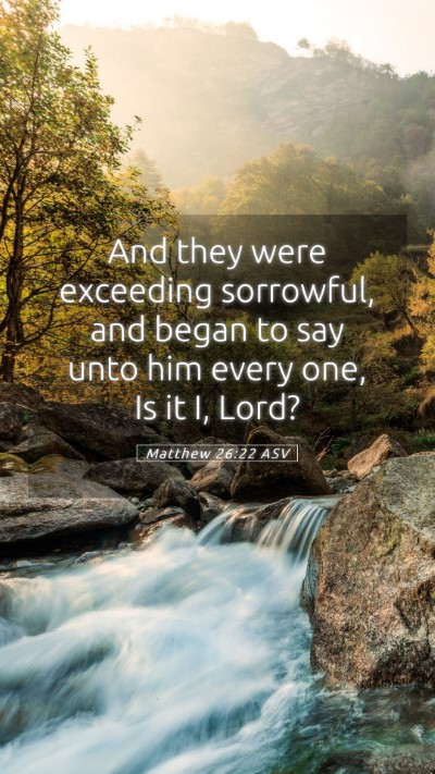Picture 05 - Matthew 26:22 ASV Mobile Phone Wallpaper - And they were exceeding sorrowful, and began to - Mobile Bible Verse Wallpaper