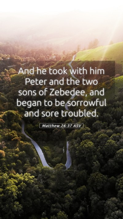 Picture 05 - Matthew 26:37 ASV Mobile Phone Wallpaper - And he took with him Peter and the two sons of - Mobile Bible Verse Wallpaper