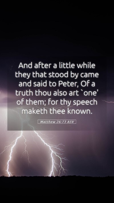 Picture 05 - Matthew 26:73 ASV Mobile Phone Wallpaper - And after a little while they that stood by came - Mobile Bible Verse Wallpaper