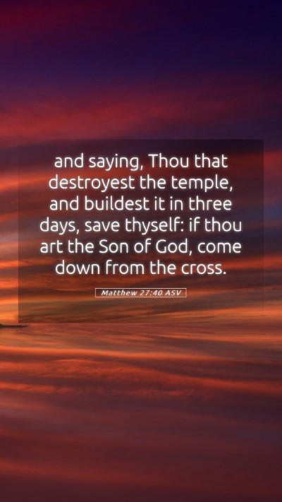 Picture 05 - Matthew 27:40 ASV Mobile Phone Wallpaper - and saying, Thou that destroyest the temple, and - Mobile Bible Verse Wallpaper