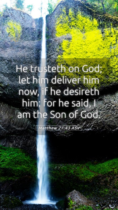Picture 05 - Matthew 27:43 ASV Mobile Phone Wallpaper - He trusteth on God; let him deliver him now, if - Mobile Bible Verse Wallpaper
