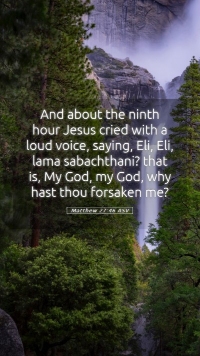 Picture 05 - Matthew 27:46 ASV Mobile Phone Wallpaper - And about the ninth hour Jesus cried with a loud - Mobile Bible Verse Wallpaper