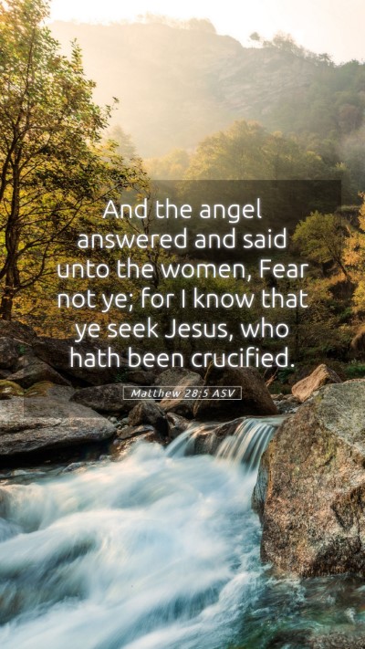 Picture 05 - Matthew 28:5 ASV Mobile Phone Wallpaper - And the angel answered and said unto the women, - Mobile Bible Verse Wallpaper