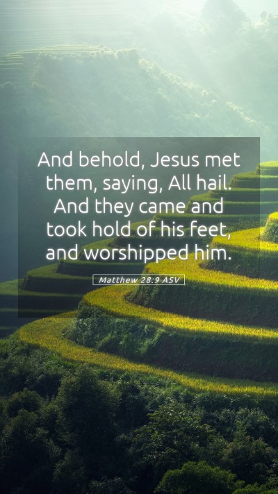 Picture 05 - Matthew 28:9 ASV Mobile Phone Wallpaper - And behold, Jesus met them, saying, All hail. And - Mobile Bible Verse Wallpaper