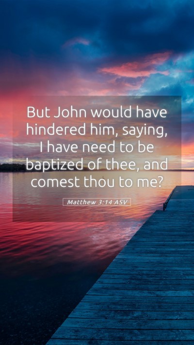 Picture 05 - Matthew 3:14 ASV Mobile Phone Wallpaper - But John would have hindered him, saying, I have - Mobile Bible Verse Wallpaper
