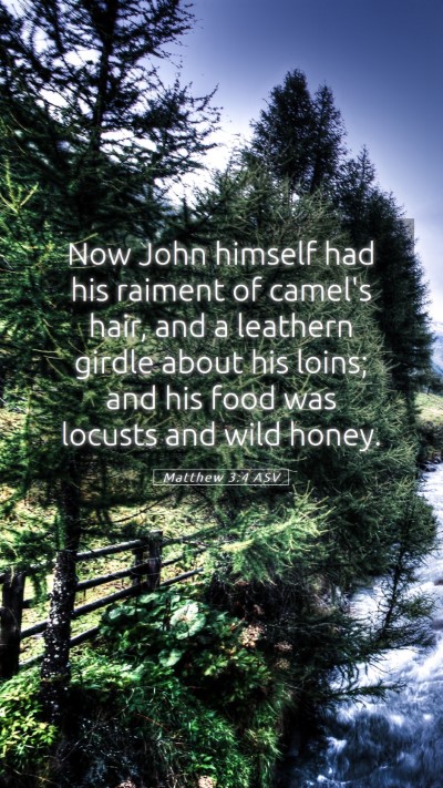 Picture 05 - Matthew 3:4 ASV Mobile Phone Wallpaper - Now John himself had his raiment of camel's hair, - Mobile Bible Verse Wallpaper
