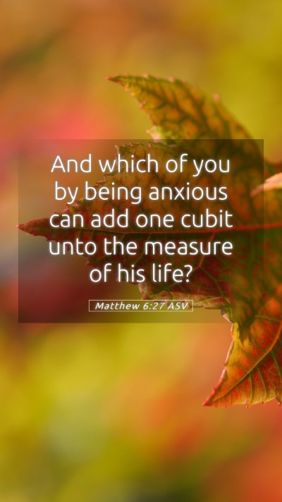 Picture 05 - Matthew 6:27 ASV Mobile Phone Wallpaper - And which of you by being anxious can add one - Mobile Bible Verse Wallpaper