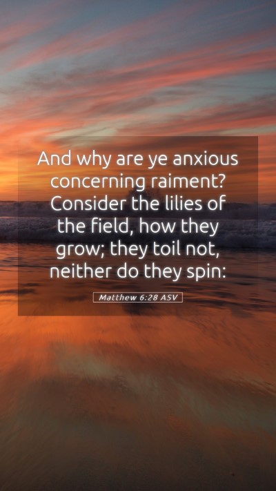 Picture 05 - Matthew 6:28 ASV Mobile Phone Wallpaper - And why are ye anxious concerning raiment? - Mobile Bible Verse Wallpaper