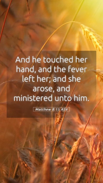 Picture 05 - Matthew 8:15 ASV Mobile Phone Wallpaper - And he touched her hand, and the fever left her; - Mobile Bible Verse Wallpaper