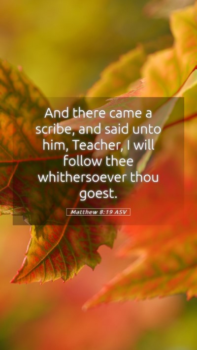 Picture 05 - Matthew 8:19 ASV Mobile Phone Wallpaper - And there came a scribe, and said unto him, - Mobile Bible Verse Wallpaper