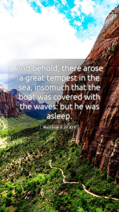 Picture 05 - Matthew 8:24 ASV Mobile Phone Wallpaper - And behold, there arose a great tempest in the - Mobile Bible Verse Wallpaper