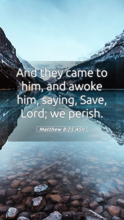 Picture 05 - Matthew 8:25 ASV Mobile Phone Wallpaper - And they came to him, and awoke him, saying, - Mobile Bible Verse Wallpaper