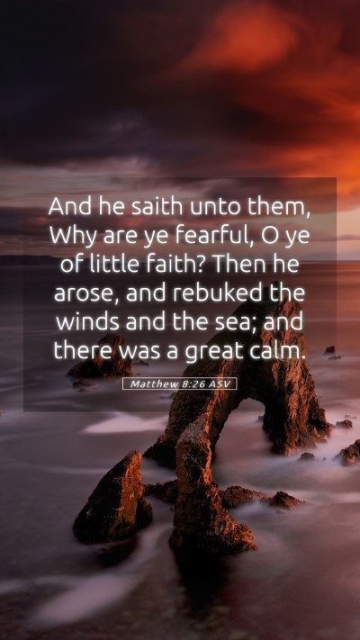 Picture 05 - Matthew 8:26 ASV Mobile Phone Wallpaper - And he saith unto them, Why are ye fearful, O ye - Mobile Bible Verse Wallpaper