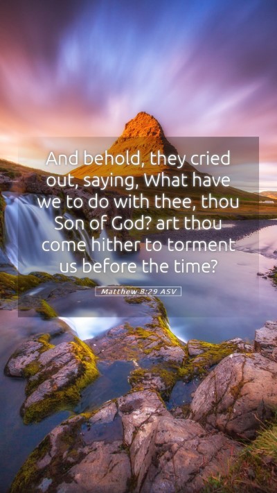 Picture 05 - Matthew 8:29 ASV Mobile Phone Wallpaper - And behold, they cried out, saying, What have we - Mobile Bible Verse Wallpaper