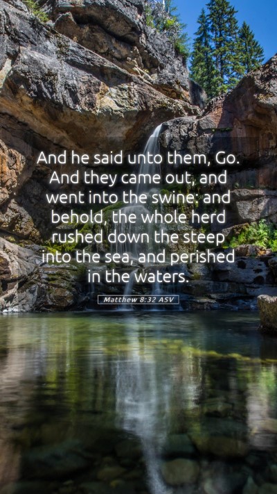Picture 05 - Matthew 8:32 ASV Mobile Phone Wallpaper - And he said unto them, Go. And they came out, and - Mobile Bible Verse Wallpaper