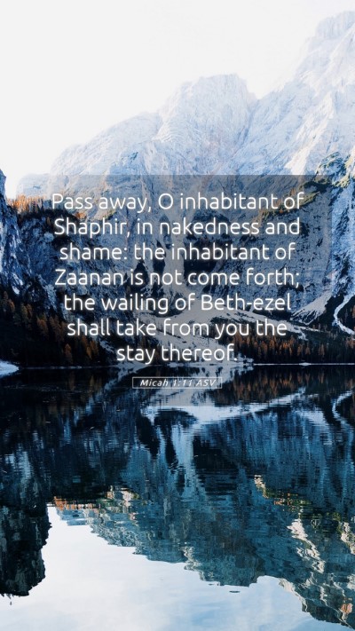 Picture 05 - Micah 1:11 ASV Mobile Phone Wallpaper - Pass away, O inhabitant of Shaphir, in nakedness - Mobile Bible Verse Wallpaper