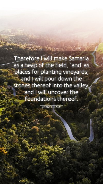 Picture 05 - Micah 1:6 ASV Mobile Phone Wallpaper - Therefore I will make Samaria as a heap of the - Mobile Bible Verse Wallpaper