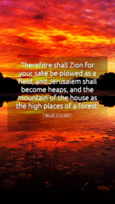 Picture 05 - Micah 3:12 ASV Mobile Phone Wallpaper - Therefore shall Zion for your sake be plowed as a - Mobile Bible Verse Wallpaper