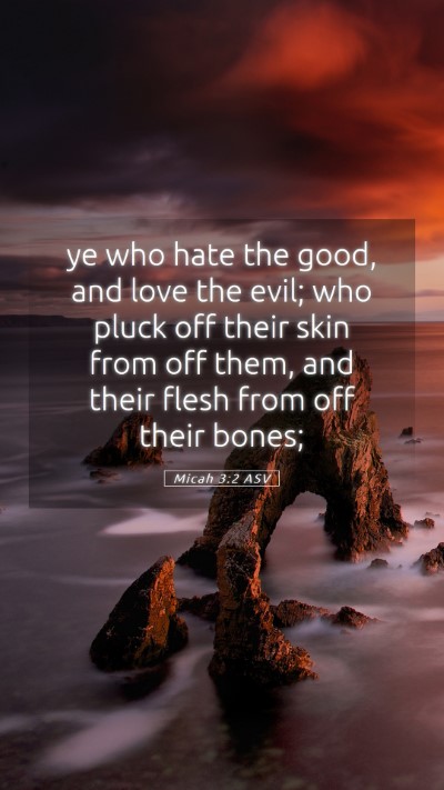 Picture 05 - Micah 3:2 ASV Mobile Phone Wallpaper - ye who hate the good, and love the evil; who - Mobile Bible Verse Wallpaper