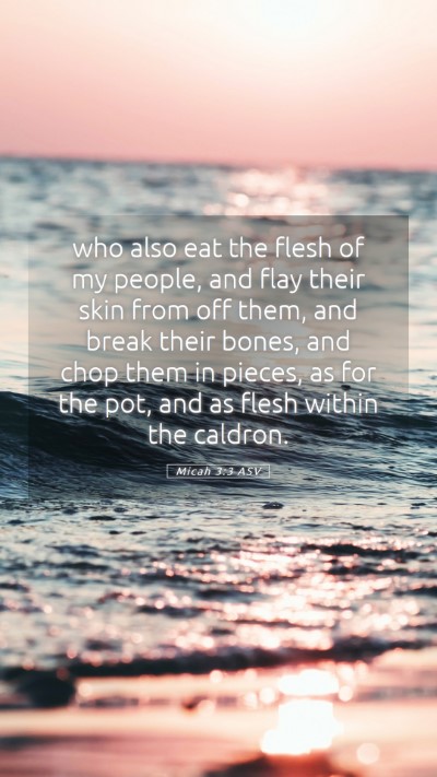 Picture 05 - Micah 3:3 ASV Mobile Phone Wallpaper - who also eat the flesh of my people, and flay - Mobile Bible Verse Wallpaper