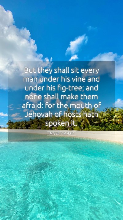 Picture 05 - Micah 4:4 ASV Mobile Phone Wallpaper - But they shall sit every man under his vine and - Mobile Bible Verse Wallpaper